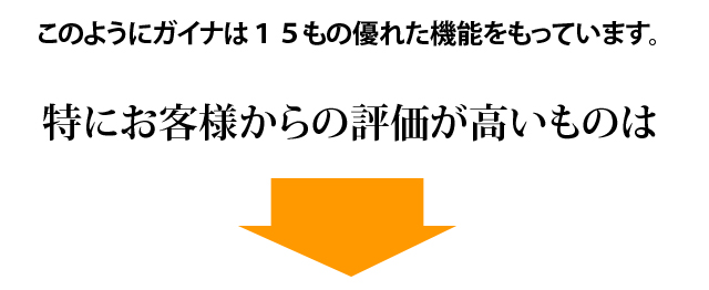 ガイナの評価